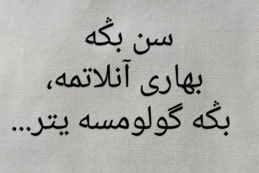 WhatsApp Image 2026-06-09 at 01.05.30.jpeg